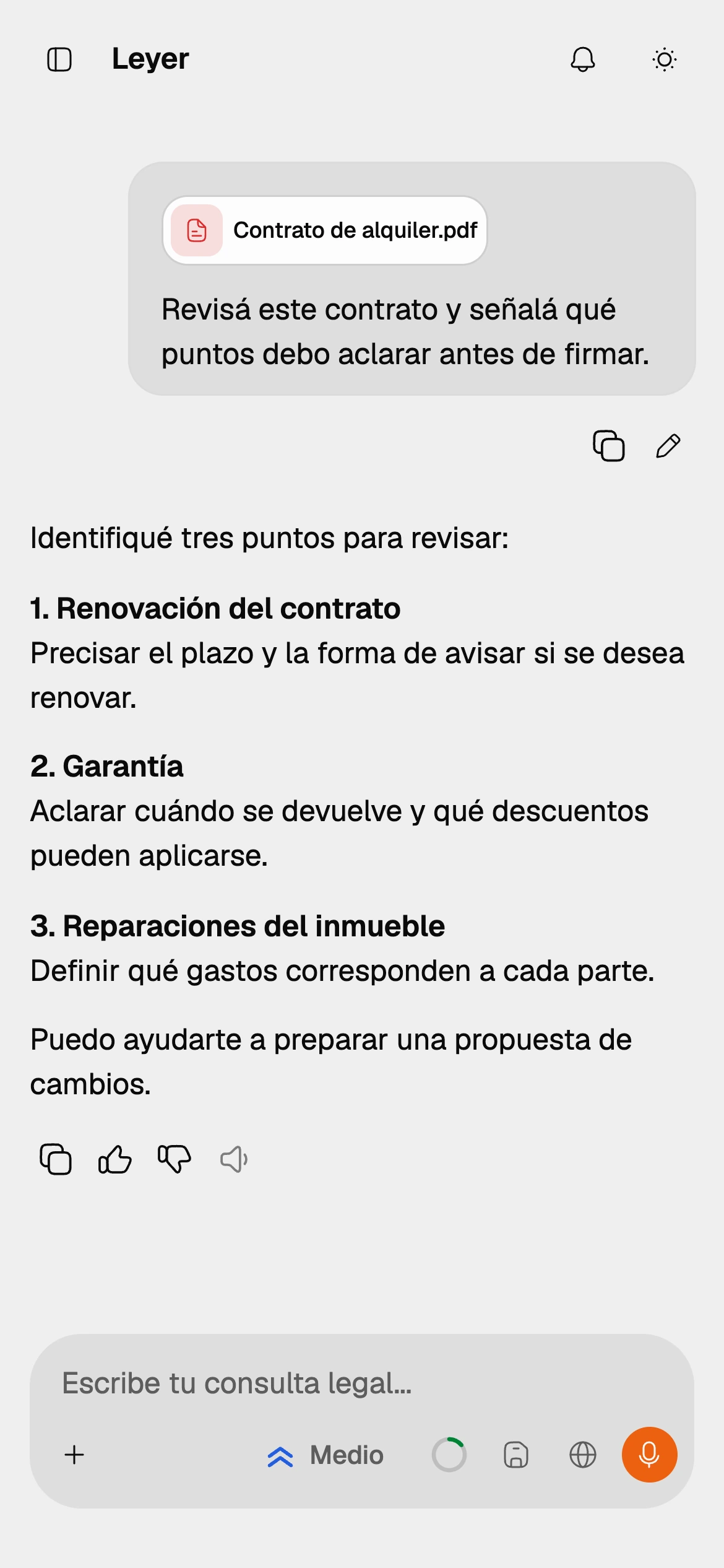 Captura del análisis de un documento adjuntado en Leyer